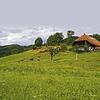 Die ländliche Idylle &ndash; so wie hier im Schwarzwald &ndash; ist oft oberflächlich. Hier liegt der Brennpunkt globaler Umwälzungen