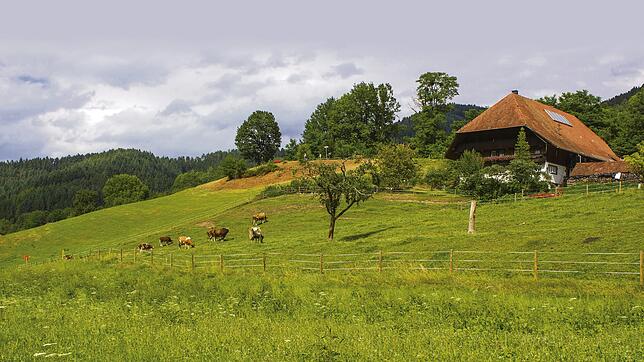 Die ländliche Idylle &ndash; so wie hier im Schwarzwald &ndash; ist oft oberflächlich. Hier liegt der Brennpunkt globaler Umwälzungen