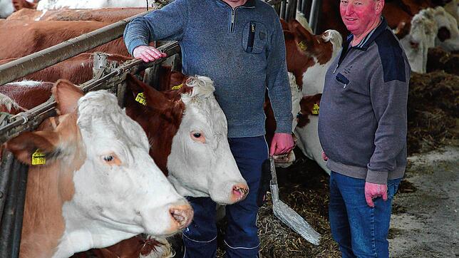 Sie haben die Übergabe gemeistert: Landwirt Franz Käppeler und sein Sohn Simon auf ihrem Milchvieh-Betrieb in Stockach-Seelfingen.
