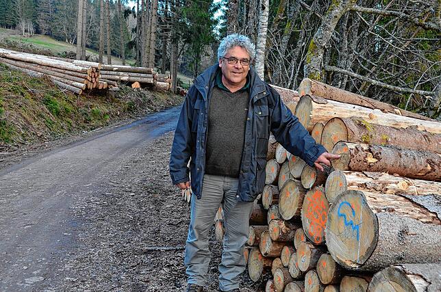 Förster Roland Behringer kennt die Nöte der Waldbesitzer.