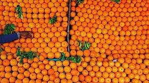 Winterliche Farbenpracht: Ein Verkäufer richtet die Orangen auf seinem Verkaufsstand an.