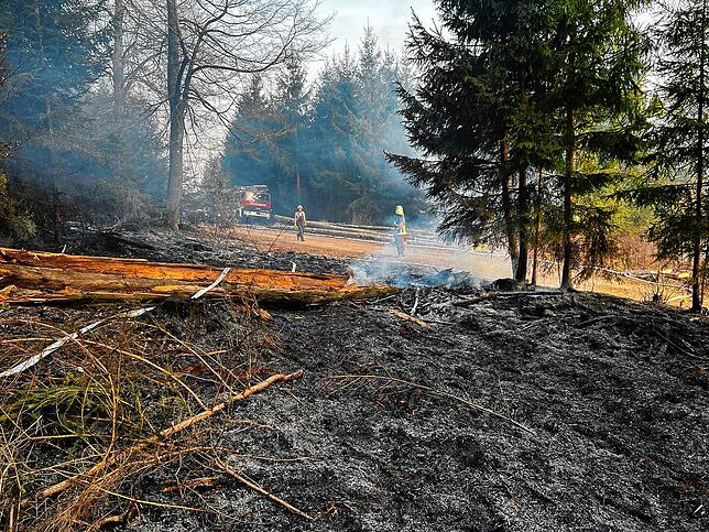 Schon wieder brannte ein Waldstück bei Rippolingen.