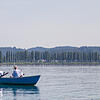 Bild :