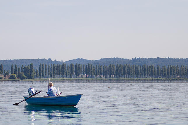 Bild 5: So schön ist Konstanz vom Wasser aus: Vom Wollmatinger Ried bis zur Reichenau