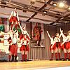 Beim Zunftball des Narrenvereins Durbestecher Sauldorf ernten die Akteure viel Applaus. Auch der akrobatische Auftritt der Hop-A-Holix ...