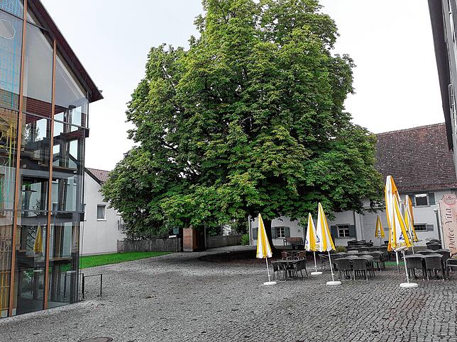 Dorfplatz mit Rathaus und Obstbaumuseum im Petershauser Hof