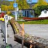 Ohne schweres Gerät kann niemand die Baumstämme verrücken, die als Unterstützung der rot-weißen Sperrzäune beim Strandbad liegen.