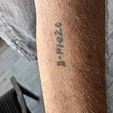 Die Häftlingsnummer vom KZ Auschwitz auf Naftali Fürsts Unterarm.