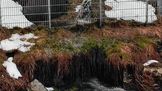 Bei starkem Regen oder bei Schneeschmelze gibt es beim Abwasserpumpwerk auf den Feldberg immer wieder einen Abschlag beziehungsweise ...