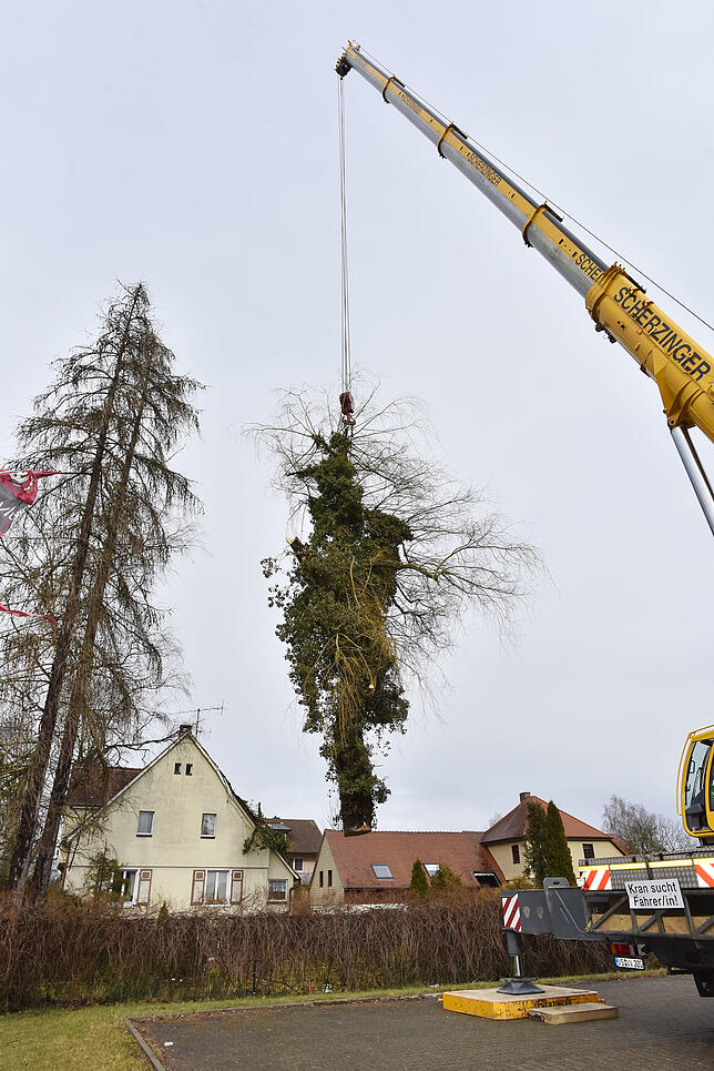 Bild 8: Den Baum am Haken: In Haus gekrachter Baum in der Donaueschinger Straße wird mit dem großem Kran entfernt