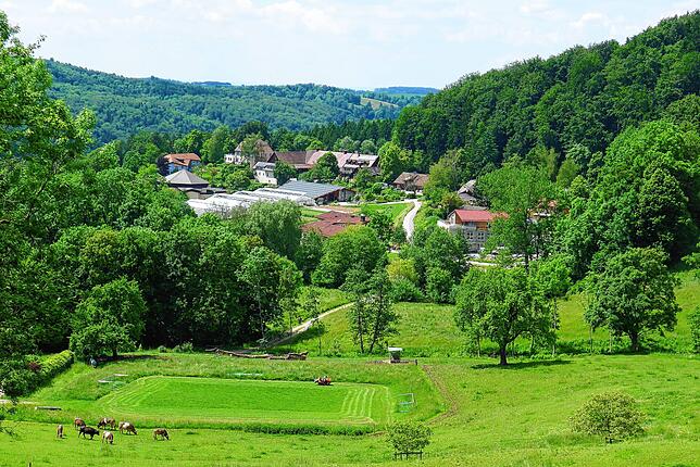 Der Lehenhof oberhalb von Deggenhausen: Viele Gebäude sind über die Jahre errichtet worden, in der Bildmitte sind die großzügigen ...