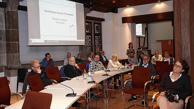 Rund 60 Bürger kamen in den Ratssaal und diskutierten über das Handlungsprogramm Fußverkehr.