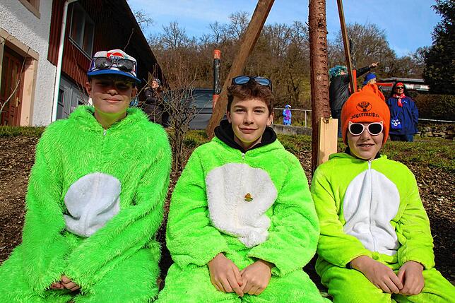Bild 15: Bilder vom Umzug beim 35. Schlüchttalnarrentreffen &ndash; Teil 3