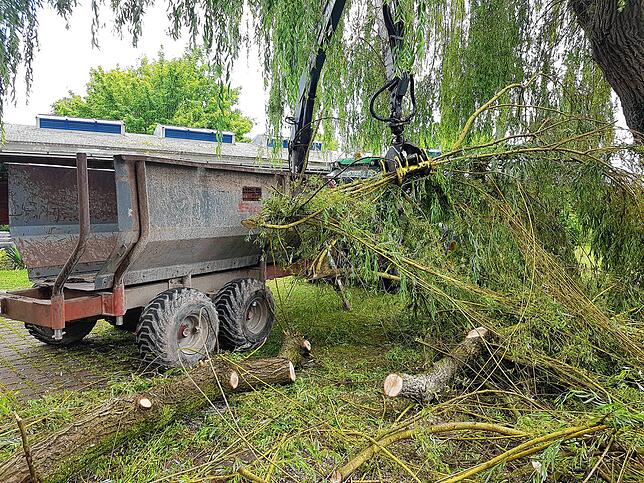 Die vom Sturm abgerissenen Äste werden auf einen Anhänger verladen.
