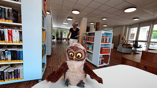 Die Eule Bibi spielt wie hier im Sommer bei den Lesungen für Kinder in der Stadtbibliothek eine wichtige Rolle. Bild: Trippl