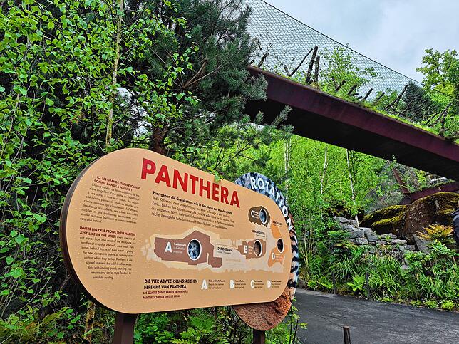 Das neue Großkatzen-Areal im Zoo Zürich: Auf dem „Catwalk“ sollen die Großkatzen gute Aussicht haben.