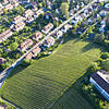 Bald nur noch Bio-Anbau? Auf den Weinbergen der Spitalkellerei, wie hier am Bismarcksteig und an der Sonnehalde, soll ab 2022 kein ...