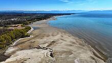 Der niedrige Wasserstand legt dieser Tage wunderbare Wasserlandschaften am nördlichen Bodenseeufer frei – mancherorts riecht es ...