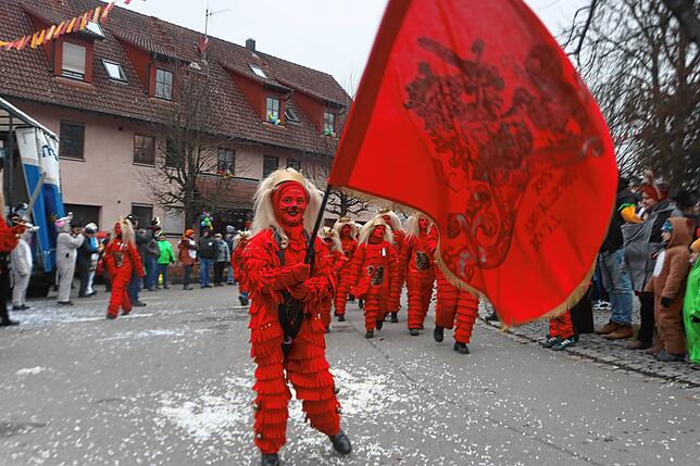 Bild 3: Bonndorf feiert den 40. Geburtstag des Narrenvereins mit riesigem Umzug
