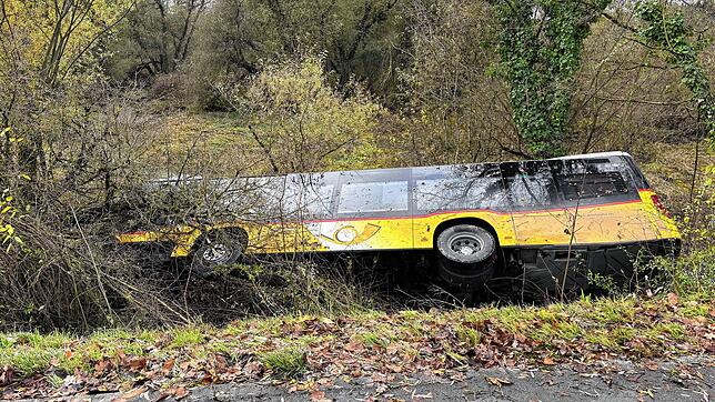 Ein Postbus landet nach einem Frontalzusammenstoß bei Koblenz in der Schweiz im Gestrüpp am Ufer der Aare.