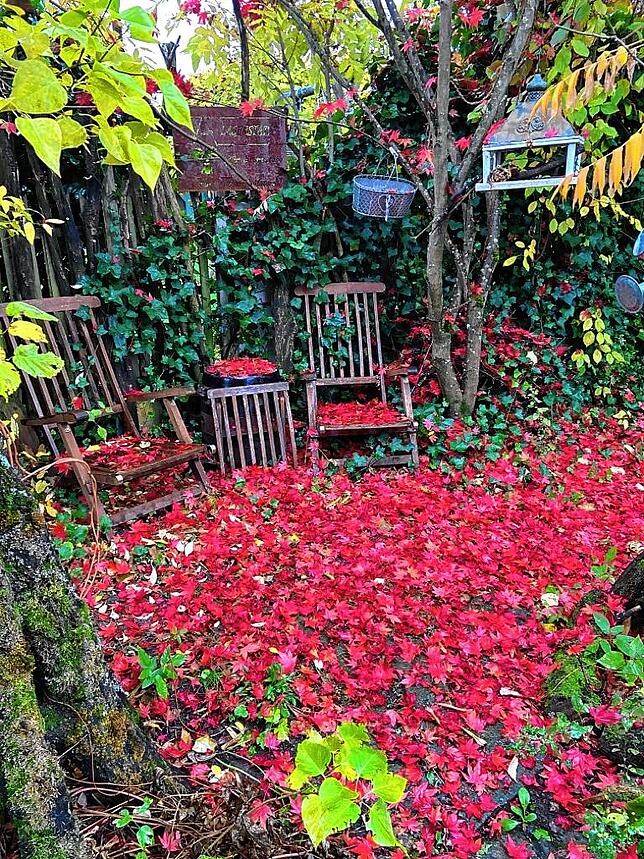 Herbstliche Idylle im Garten von Thomas Pokrzywa in Tiengen.
