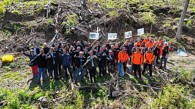 Jetzt wachsen sie: Die ersten von über 8000 Stiel- und Traubeneichen sowie Hainbuchen, Winterlinden, Elsbeeren und Kirschbäume sind im ...