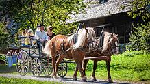 Ob Mit dem Rad, dem Zug, dem Auto oder mit der Kutsche – hier im Freilichtmuseum Vogtsbauernhof – an den Feiertag im Frühjahr zieht es ...