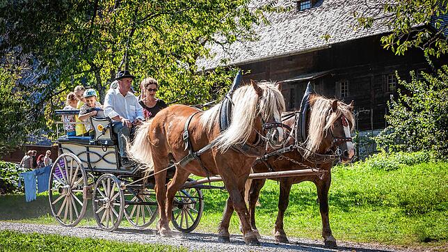 Ob Mit dem Rad, dem Zug, dem Auto oder mit der Kutsche – hier im Freilichtmuseum Vogtsbauernhof – an den Feiertag im Frühjahr zieht es ...
