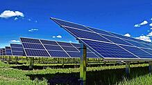 Die Photovoltaik-Anlage soll ohne größere Eingriffe in die Natur realisiert werden. Bild: JRJfin/stock.adobe.com