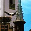 Keines der beiden Storchenpaare, die ihre Nester in der Meßkircher Innenstadt haben, brachte dieses Jahr seine Jungen durch. Sie starben ...