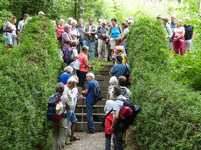 Bild 5: Bilder der &bdquo;Aktion Wanderlust&ldquo; von Verschönerungsverein und SÜDKURIER Überlingen