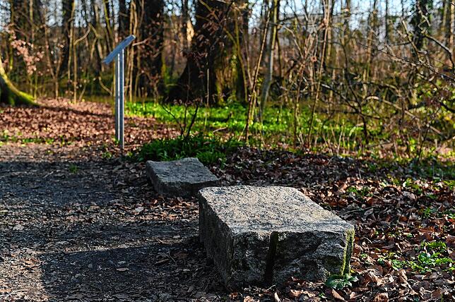 Bild 5: Durchatmen und Ruhe tanken: Wo es sich bei einem Spaziergang in und um Friedrichshafen gut innehalten lässt