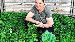 Michaela Berthold-Sieber fühlt sich inmitten des Giersch wohl. Die Kräuterexpertin und Vorsitzende des Obst- und Gartenbauverbandes ...