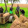 Trotz Regenwetters macht das Auflesen von Mostobst Spaß (von links): . Von links: Pascal Bewer, Alina Stöffler, Lucie Bewer, Mira und ...