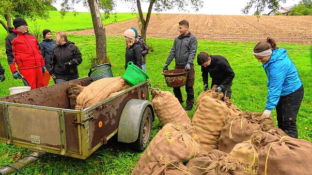 Trotz Regenwetters macht das Auflesen von Mostobst Spaß (von links): . Von links: Pascal Bewer, Alina Stöffler, Lucie Bewer, Mira und ...