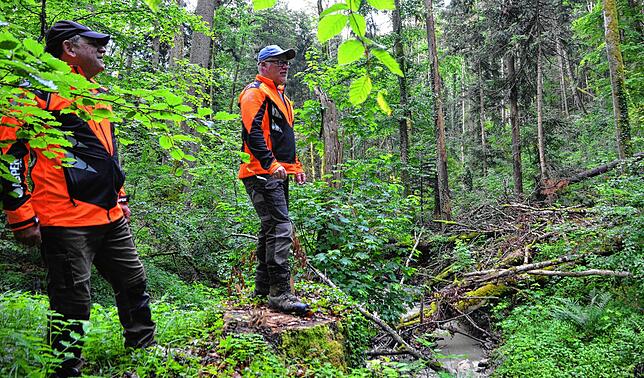 Bernhard Brutsch und Peter Ummenhofer stehen hier in einem kaum noch zugänglichen Waldstück.