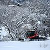 Viele Winterwanderwege in Bernau sind hervorragend präpariert und laden zum Spaziergang ein.