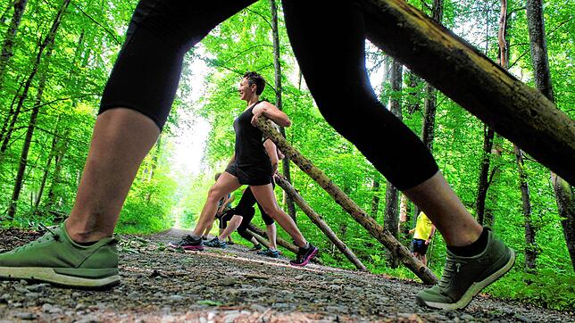 Stupide Übungen sind hier fehl am Platz &ndash; auch kleinste Muskelgruppen werden durch das abwechslungsreiche Training beansprucht.