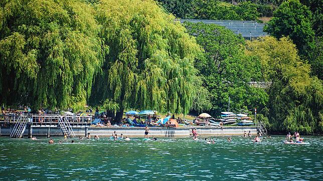 Das Strandbad in Ludwigshafen vom gegenüberliegenden Ufer aus gesehen.