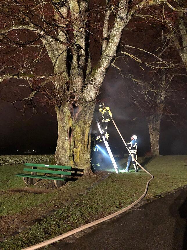 Durch den Funkenflug ist die denkmalgeschützte Linde in Brand geraten. Die Löscharbeiten werden Stunden in Anspruch nehmen.