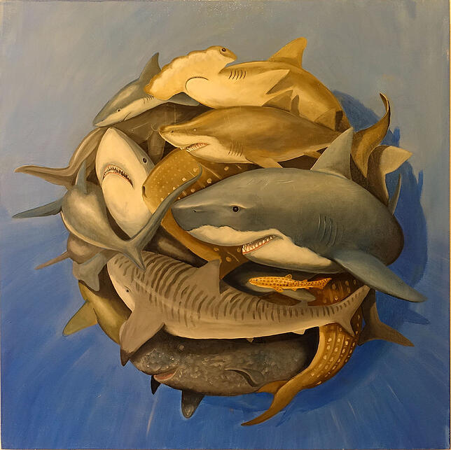"Shark Mandala" von Stefano Gentile