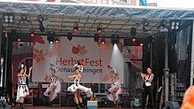 Bild : So kunterbunt und klangvoll ist das 50. Herbstfest