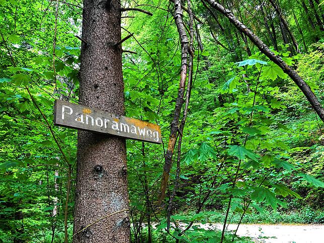 Bild 4: Wandern vor der Haustür (Teil 1): Durch den Bärlauchwald zum Waldshuter Lindenbuck