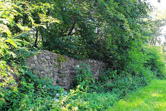 Viel ist nicht übrig von der einstigen Nellenburg. Hier steht ein Teil der Außenmauer.