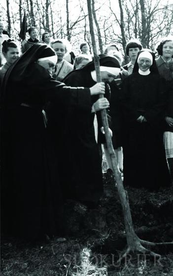 Baumpflanzung in den fünziger Jahren im Mariental mit (von links) den Heimschulgründerinnen und den Schwesters Sophia, Lioba und Adalberta.
