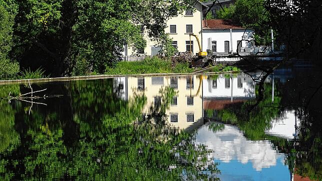 So einen Ausblick gibt es mit dem Auto nicht. Wenn sich Gebäude im Donauwasser spiegeln, wie hier bei Scheer, dann ist das Idylle pur. ...