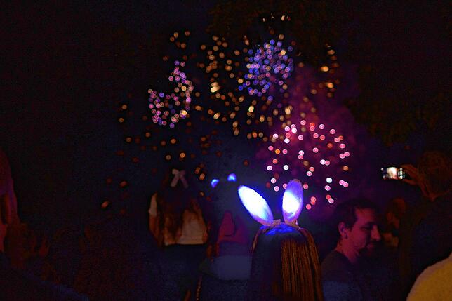 Bild 24: Bilder vom Feuerwerk beim Seehasenfest