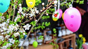 Auf dem Frühlingsmarkt auf dem Schlossplatz wird eine bunte Auswahl an Kräutern, Frühlingsblumen und Kunsthandwerk angeboten. Foto: ...