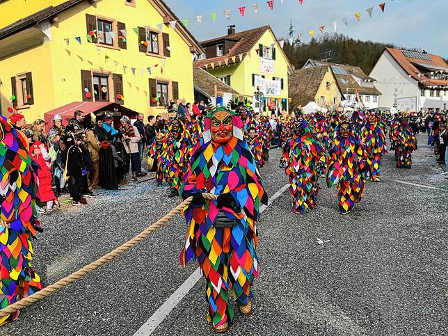 Bild 34: Spaß beim VHN-Narrentreffen: Bilder vom Umzug (1)