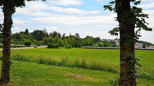 Das Gelände südlich der Kreisstraße 7742 ist nun als Gewerbegebiet Oberfischfach-Ost ausgewiesen.